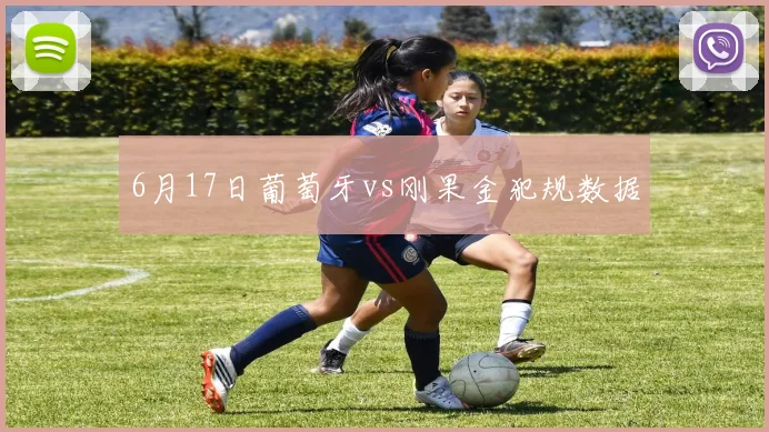 6月17日葡萄牙vs刚果金犯规数据