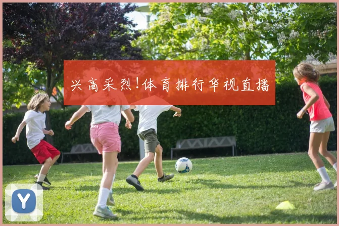 兴高采烈!体育排行华视直播