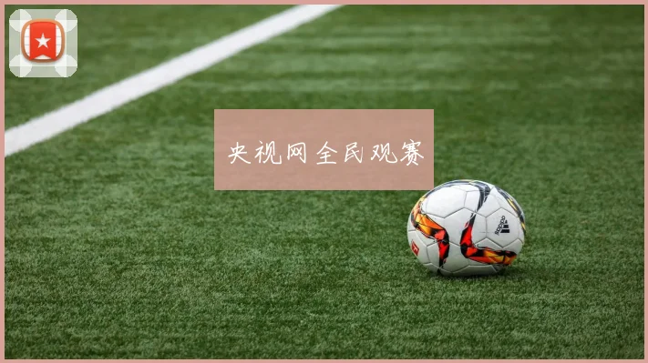 央视网全民观赛