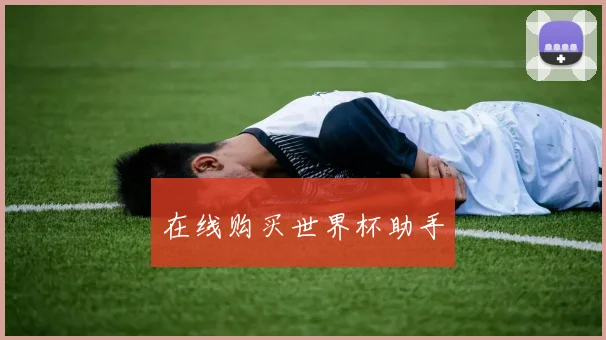 在线购买世界杯助手