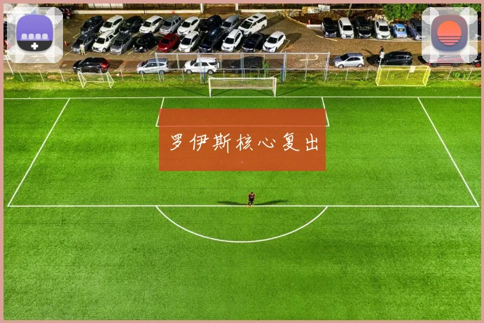 罗伊斯核心复出