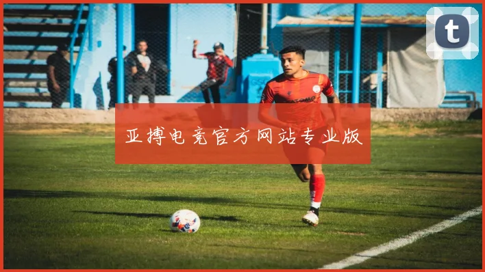 亚搏电竞官方网站专业版