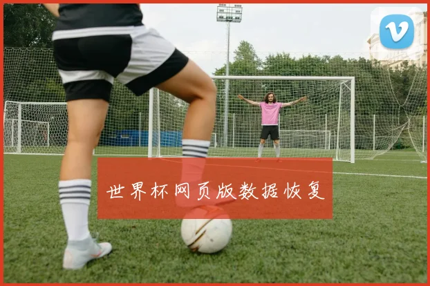 世界杯网页版数据恢复