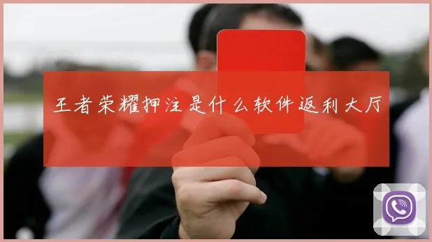 王者荣耀押注是什么软件返利大厅