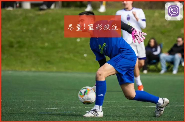 尽量!篮彩投注