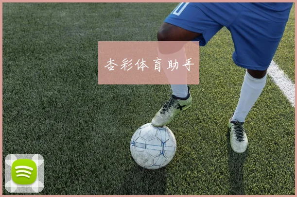 杏彩体育助手