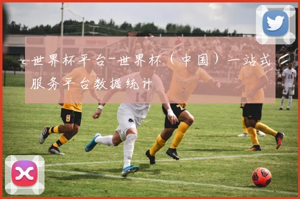世界杯平台-世界杯（中国）一站式服务平台数据统计