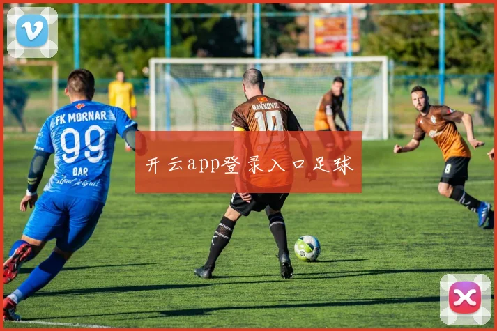 开云app登录入口足球