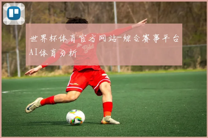 世界杯体育官方网站-综合赛事平台AI体育分析