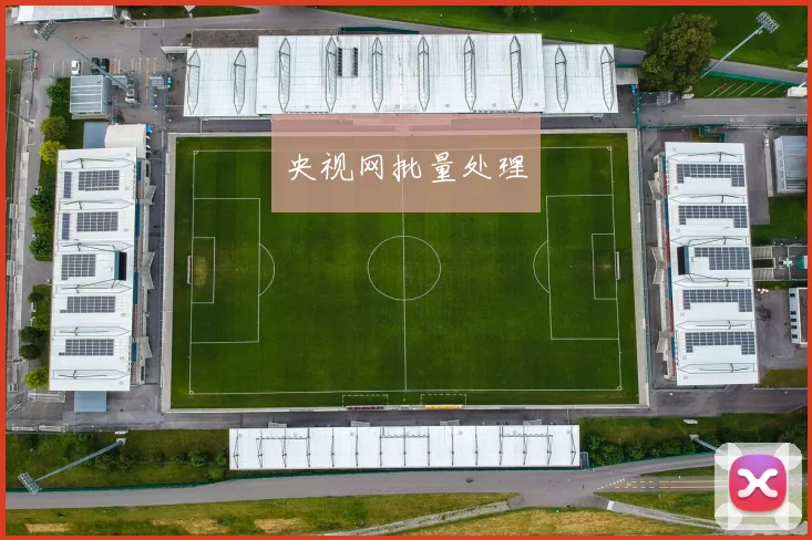 央视网批量处理