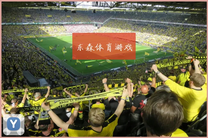 东森体育游戏