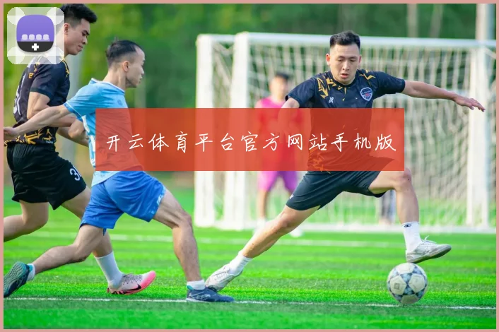 开云体育平台官方网站手机版
