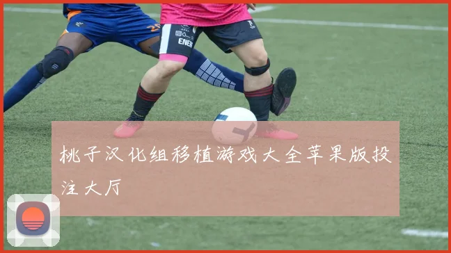 桃子汉化组移植游戏大全苹果版投注大厅