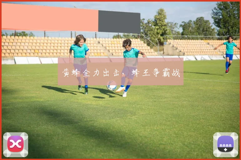 黄蜂全力出击，蜂王争霸战