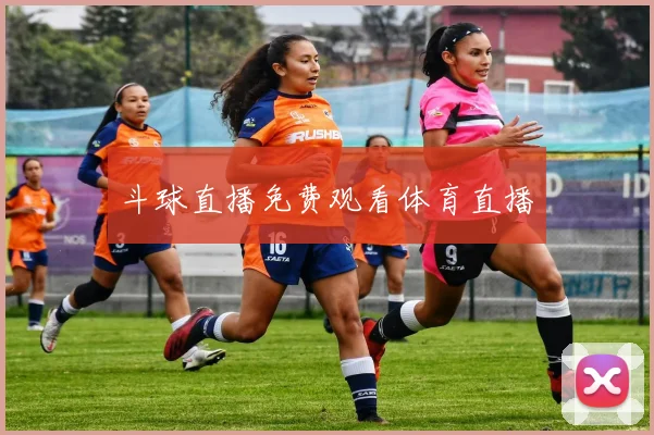 斗球直播免费观看体育直播
