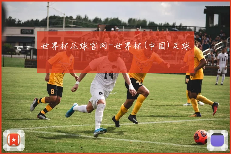 世界杯压球官网-世界杯(中国)足球