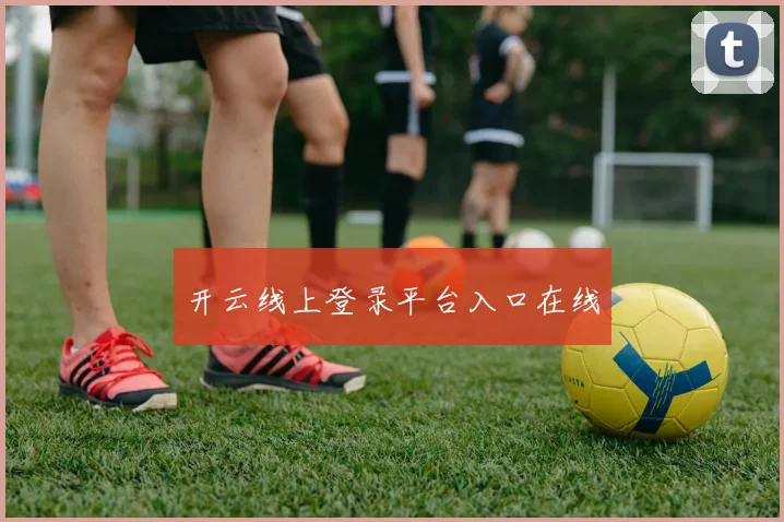 开云线上登录平台入口在线