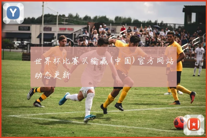 世界杯比赛买输赢(中国)官方网站动态更新