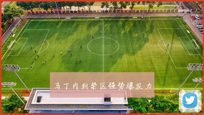 马丁内利禁区强势爆发力