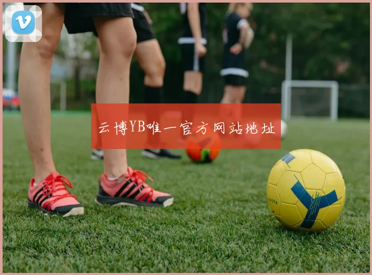 云博YB唯一官方网站地址