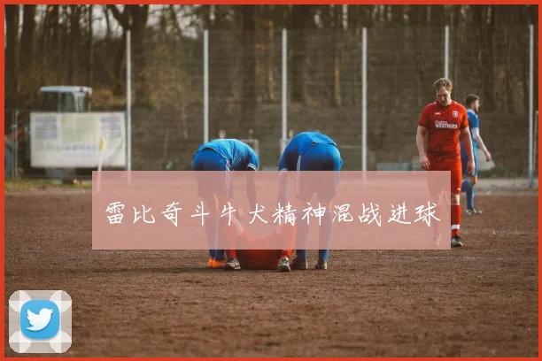 雷比奇斗牛犬精神混战进球