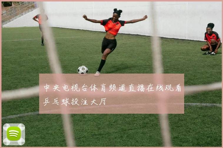 中央电视台体育频道直播在线观看乒乓球投注大厅