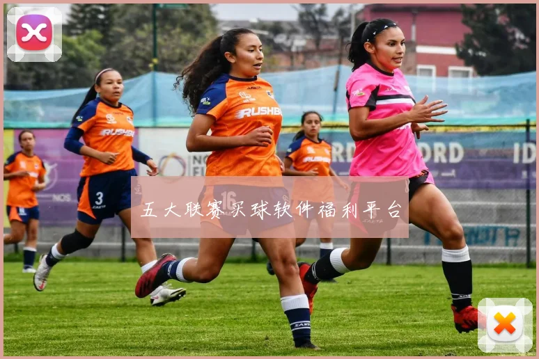 五大联赛买球软件福利平台