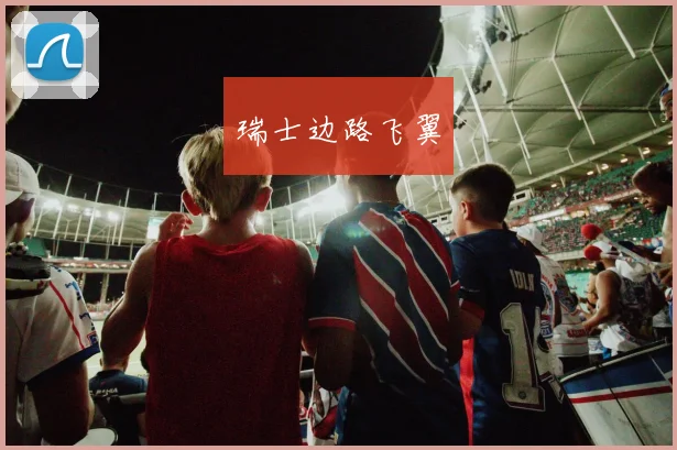 瑞士边路飞翼