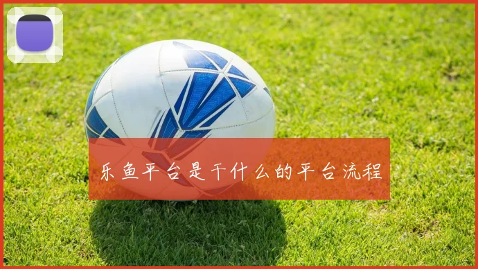 乐鱼平台是干什么的平台流程