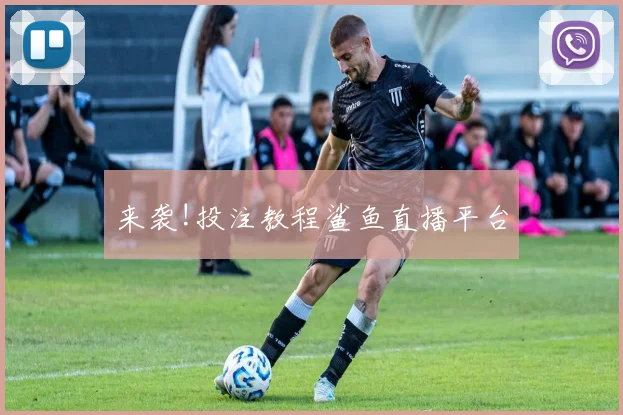 来袭!投注教程鲨鱼直播平台