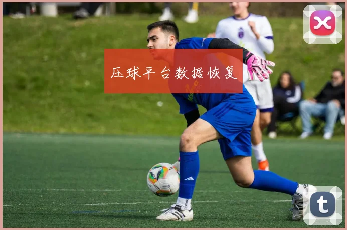 压球平台数据恢复