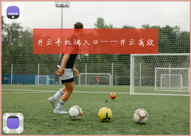 开云手机端入口——开云高效