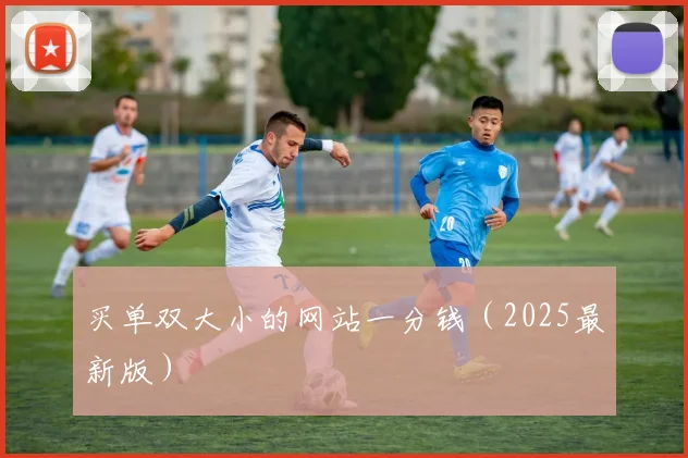 买单双大小的网站一分钱（2025最新版）
