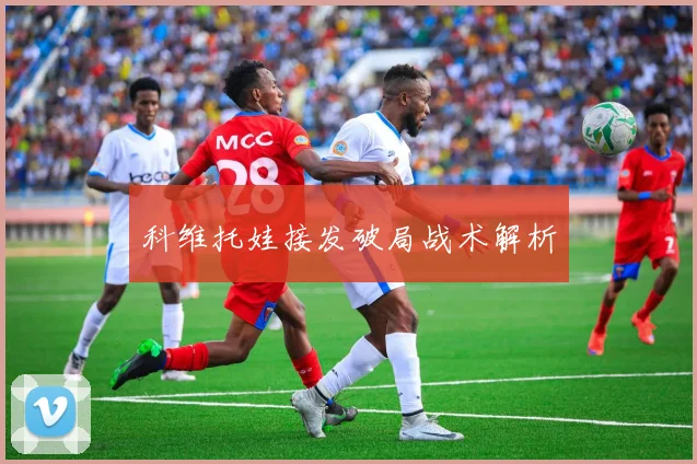 科维托娃接发破局战术解析