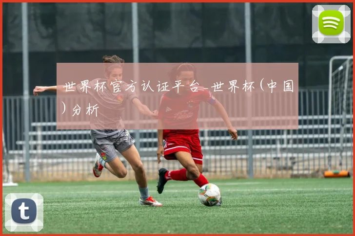 世界杯官方认证平台_世界杯(中国)分析