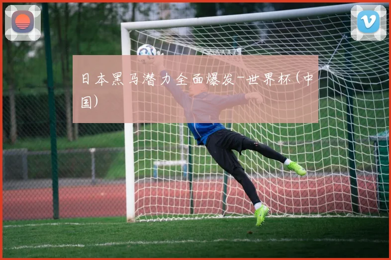 日本黑马潜力全面爆发-世界杯(中国)