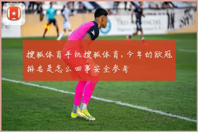 搜狐体育手机搜狐体育,今年的欧冠排名是怎么回事安全参考