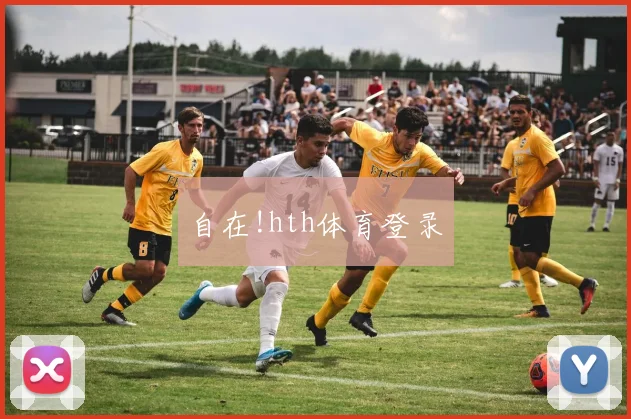 自在!hth体育登录
