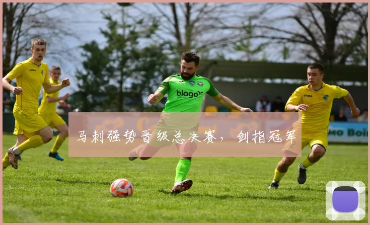 马刺强势晋级总决赛，剑指冠军