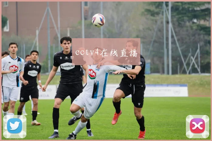 cctv4在线直播