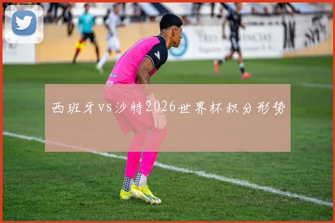 西班牙vs沙特2026世界杯积分形势