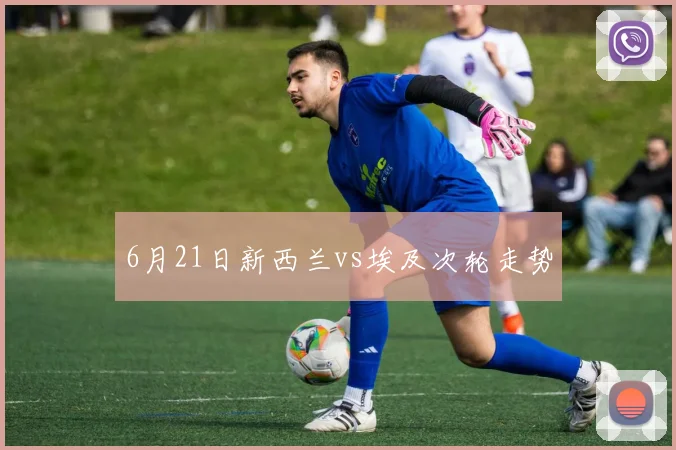 6月21日新西兰vs埃及次轮走势