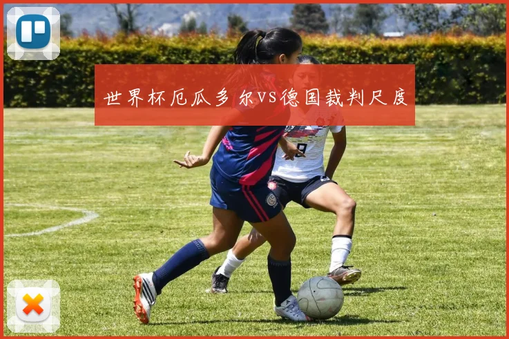 世界杯厄瓜多尔vs德国裁判尺度