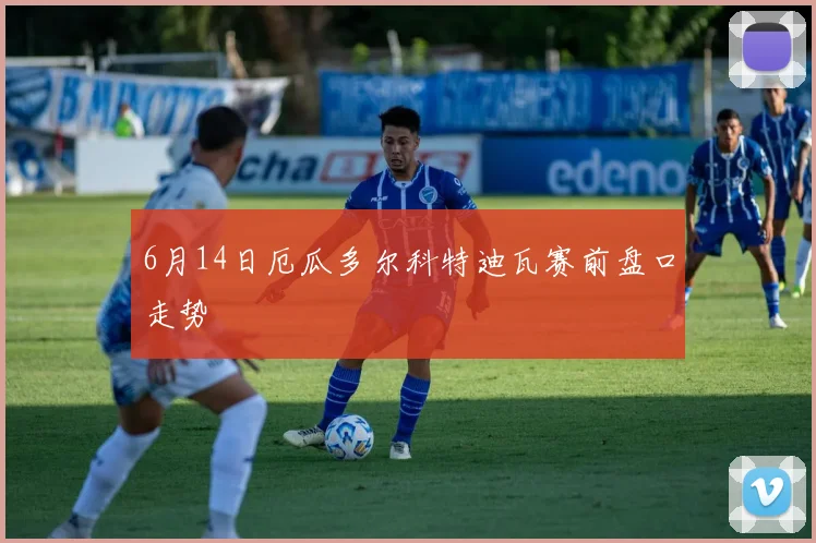 6月14日厄瓜多尔科特迪瓦赛前盘口走势