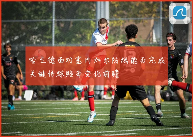 哈兰德面对塞内加尔防线能否完成关键传球赔率变化前瞻