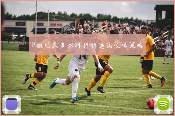 E组厄瓜多尔对科特迪瓦长传策略
