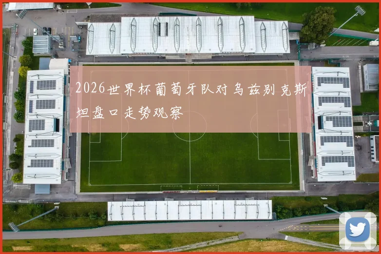 2026世界杯葡萄牙队对乌兹别克斯坦盘口走势观察